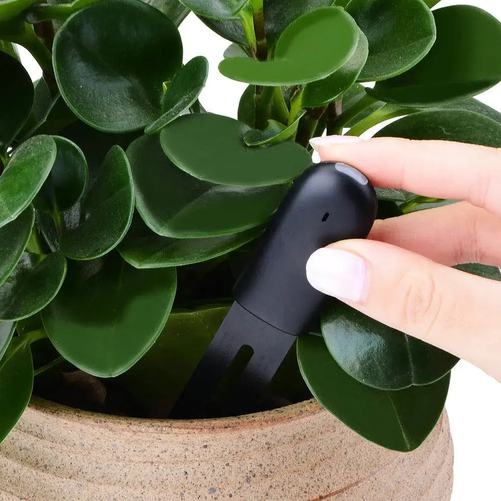 HHCC Flora Monitor Garden Care Plant Grass Soil Water Fertility Smart Tester Sensor Flower Gardening Detector For Mijia