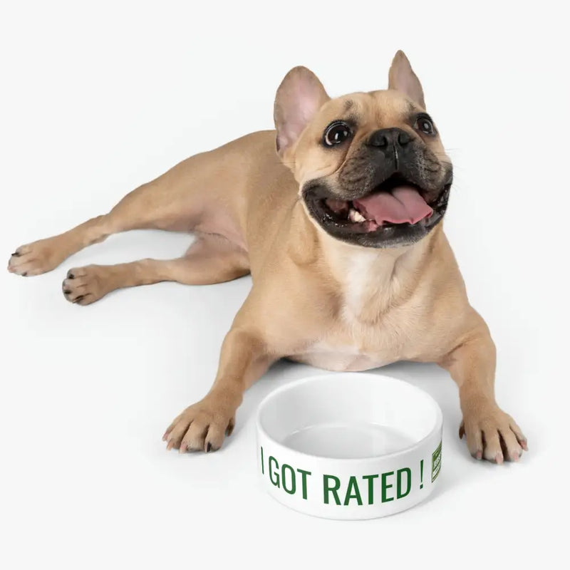 I GOT RATED! PET BOWL - 16oz - Pets